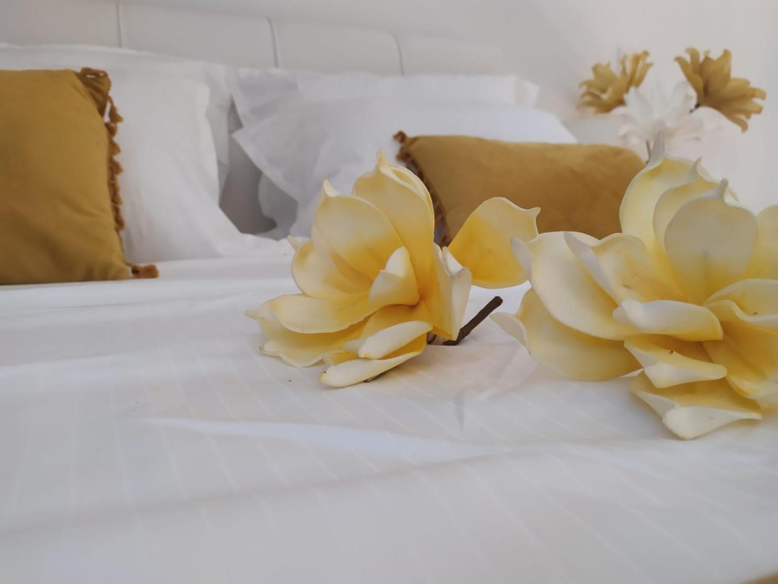 Valentina'S Luxury House Villa Chania  Ngoại thất bức ảnh